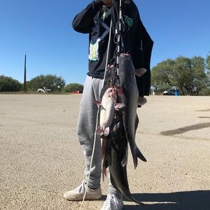 Meet your Posher, Alejandro